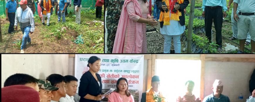 नगदेबाली उत्पादनमा कृषक उन्मुख हुनुपर्ने 